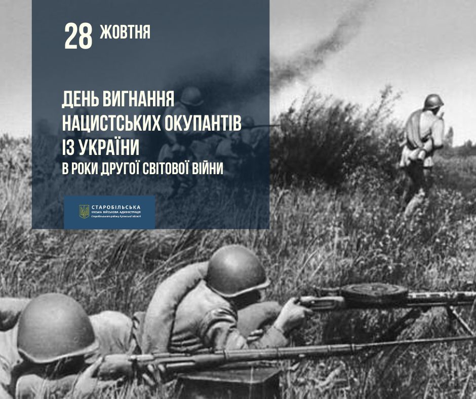 505741299 1136950838459381 5008195262706406918 n