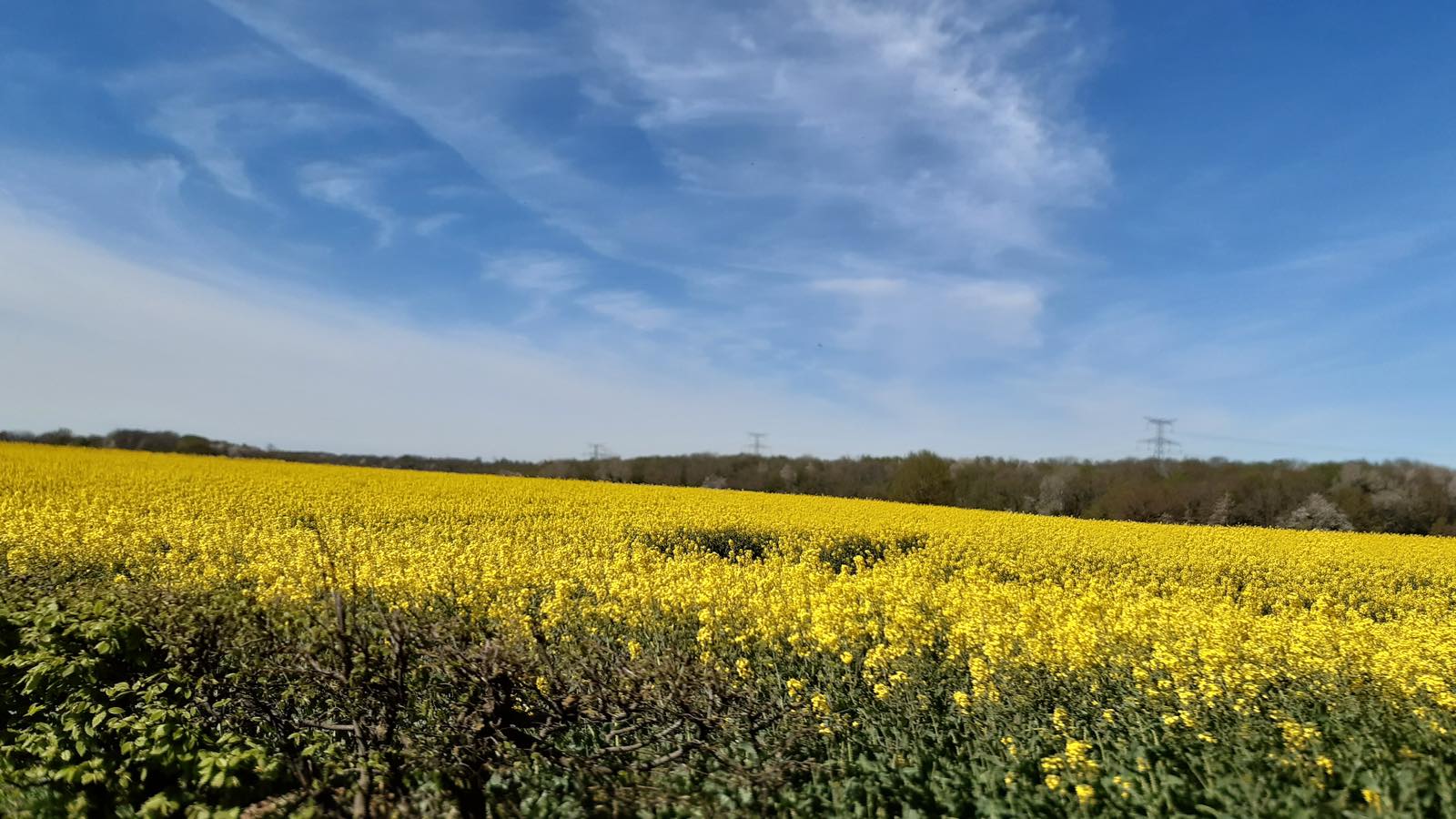 505741299 1136950838459381 5008195262706406918 n