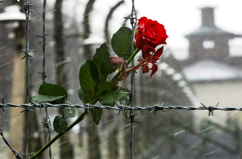 HNj2z94ztrkIjjFxiEsZNb7BxLp5fMCieudJZiel