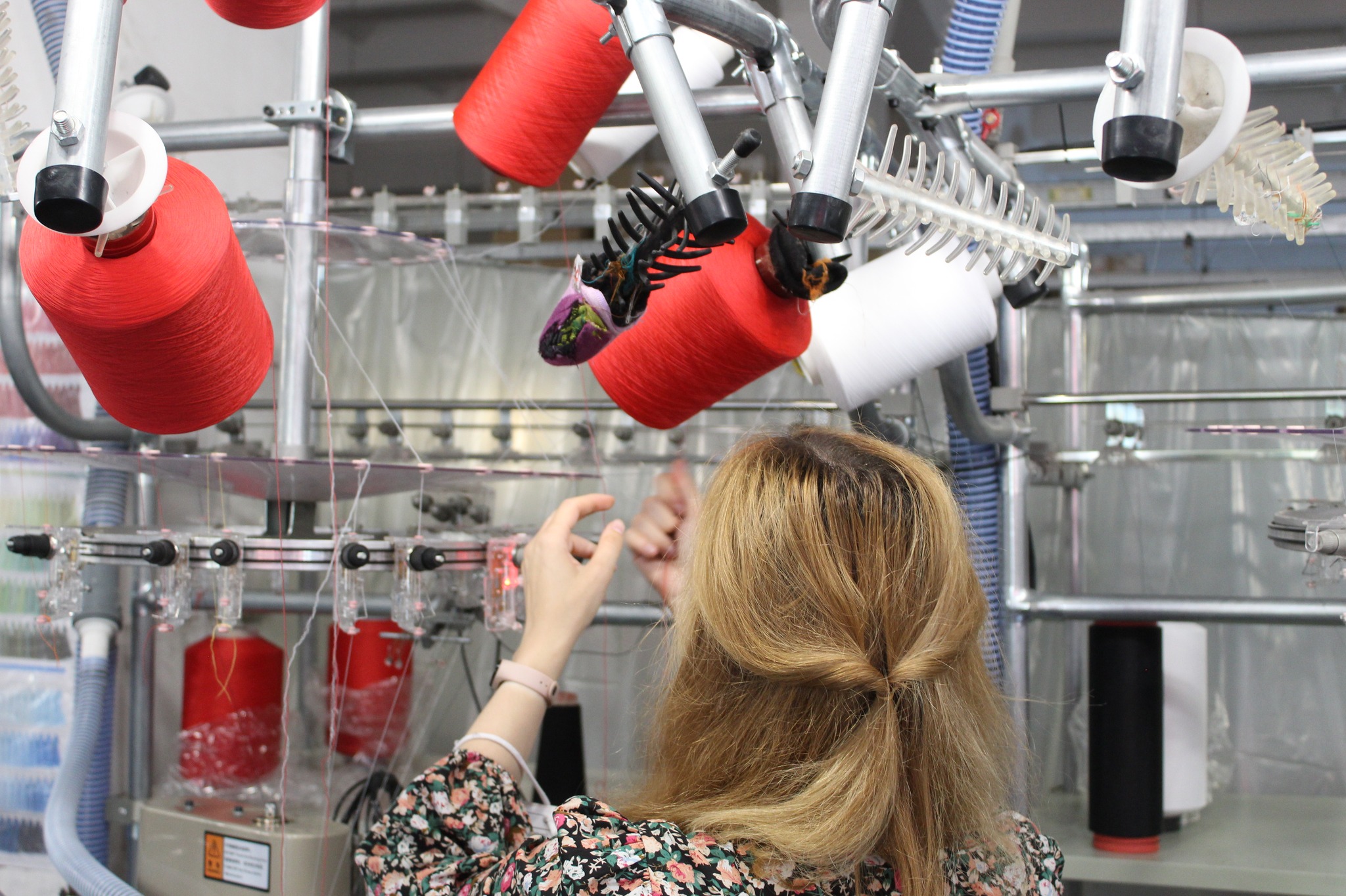 505741299 1136950838459381 5008195262706406918 n