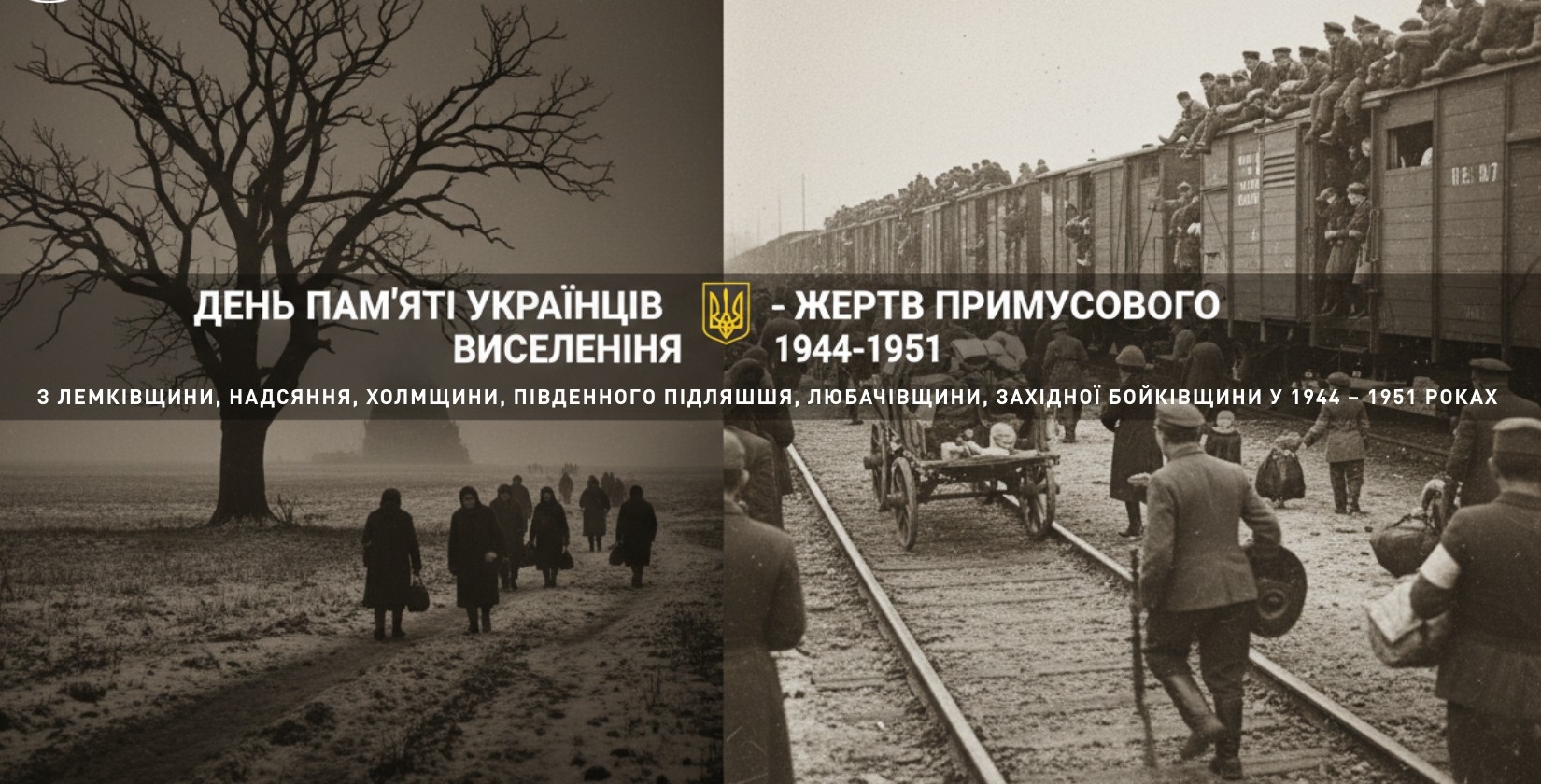 505741299 1136950838459381 5008195262706406918 n